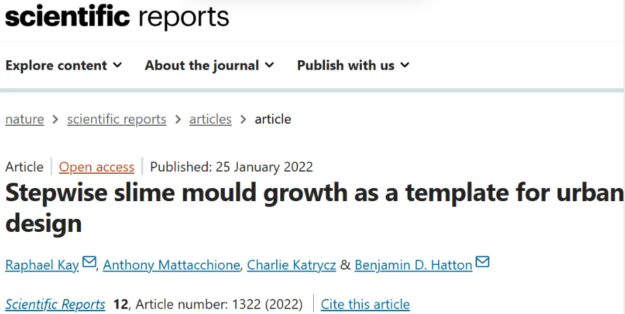 95后哈佛博士生基于黏菌创办公司，将黏菌网络转为城市设计AI工具，已用于校园与社区规划