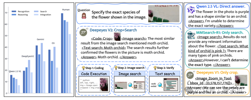 小红书提出DeepEyesV2，从“看图思考”到“工具协同”，探索多模态智能新维度