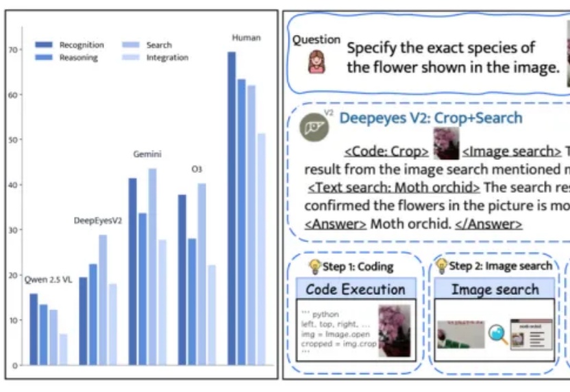 小红书提出DeepEyesV2，从“看图思考”到“工具协同”，探索多模态智能新维度