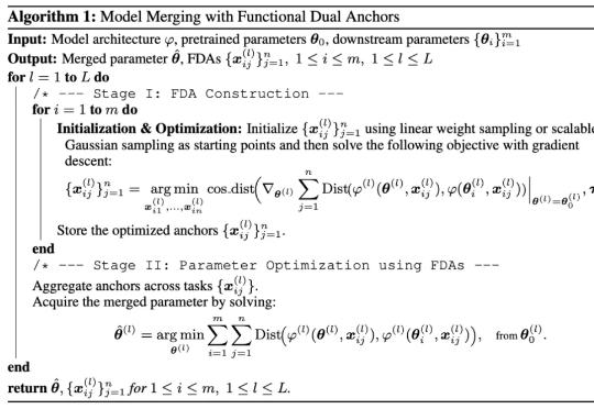 FDA对偶锚点：模型知识迁移的新视角——从参数空间到输入空间