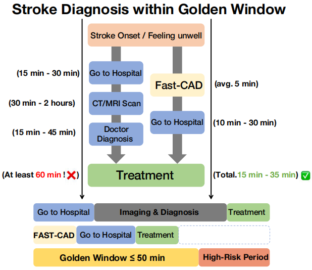 20岁本科生获多所全美Top50博士offer,研发非接触AI工具精准预判中风,准确率超91%