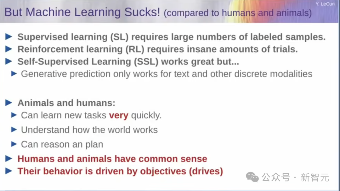 图灵奖得主LeCun最后警告Meta!我搞了40年AI,大模型是死路