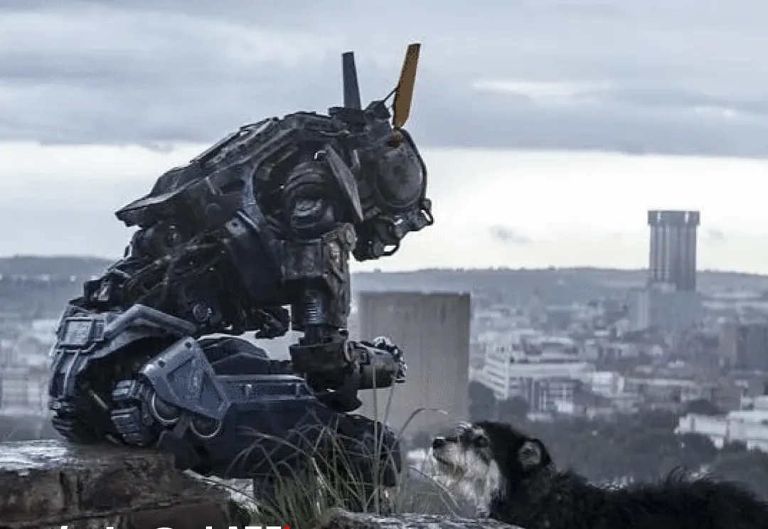 独家丨千问 app，阿里要怎么做中国的 “ChatGPT”