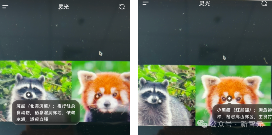 Gemini 3.0还在预热，中国AI抢先！30秒造APP全网首测