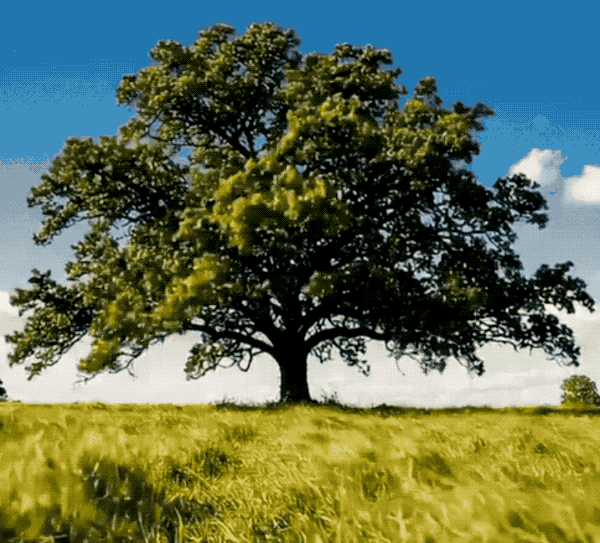 32个随机数字，1分钟推演地球未来15天丨谷歌DeepMind