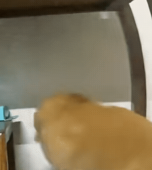 被东北雨姐舔耳10小时后,我终于被AI asmr睡服了