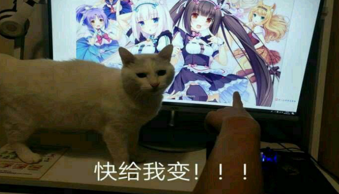 被东北雨姐舔耳10小时后,我终于被AI asmr睡服了