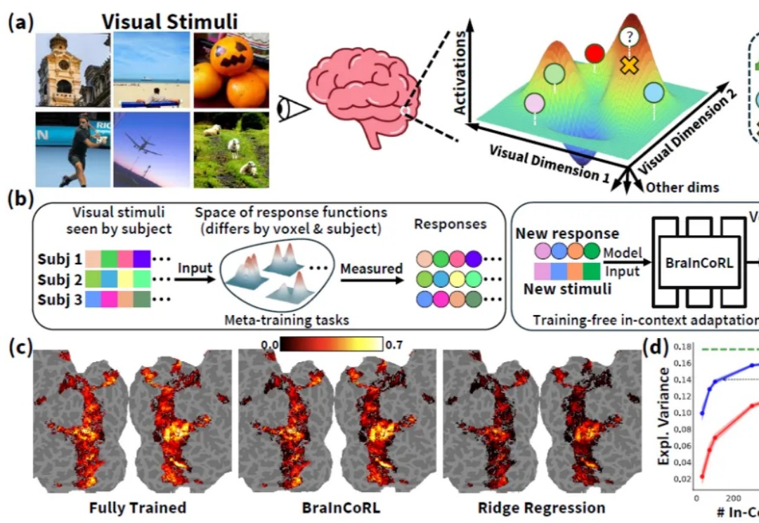 NeurIPS 2025 | 上下文元学习实现不微调跨被试脑活动预测