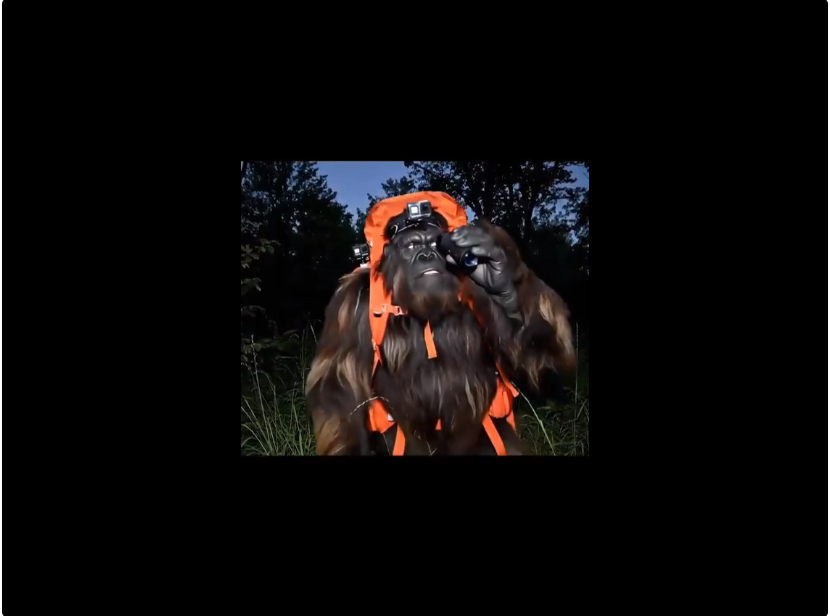 首个AI神作！一人分饰全角，万人围观外星人嘲讽人类灭绝