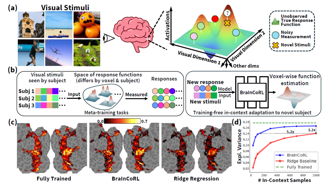 NeurIPS 2025 | 上下文元学习实现不微调跨被试脑活动预测