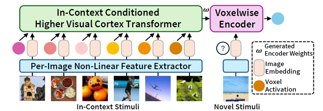 NeurIPS 2025 | 上下文元学习实现不微调跨被试脑活动预测