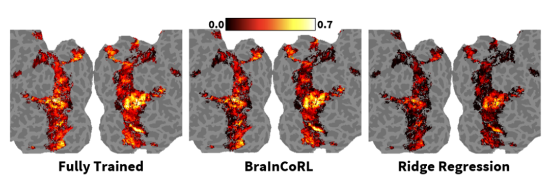 NeurIPS 2025 | 上下文元学习实现不微调跨被试脑活动预测
