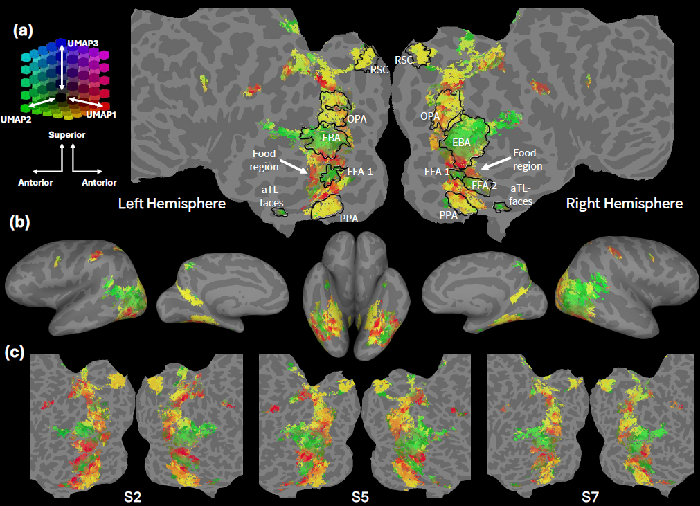 NeurIPS 2025 | 上下文元学习实现不微调跨被试脑活动预测