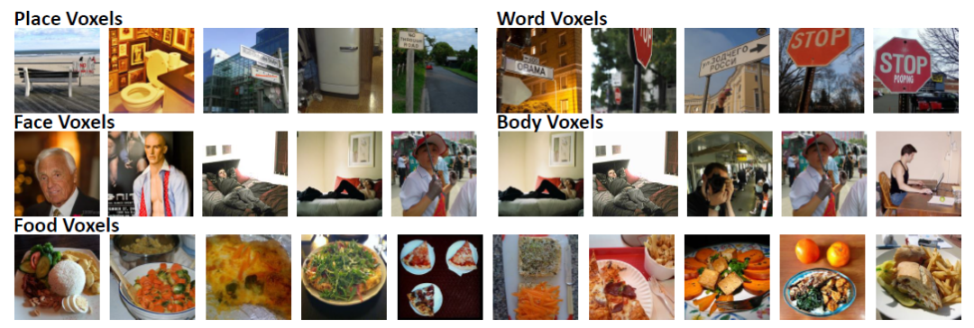 NeurIPS 2025 | 上下文元学习实现不微调跨被试脑活动预测