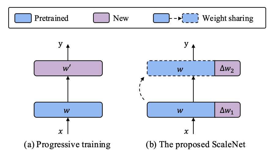 华为诺亚发布ScaleNet：模型放大通用新范式