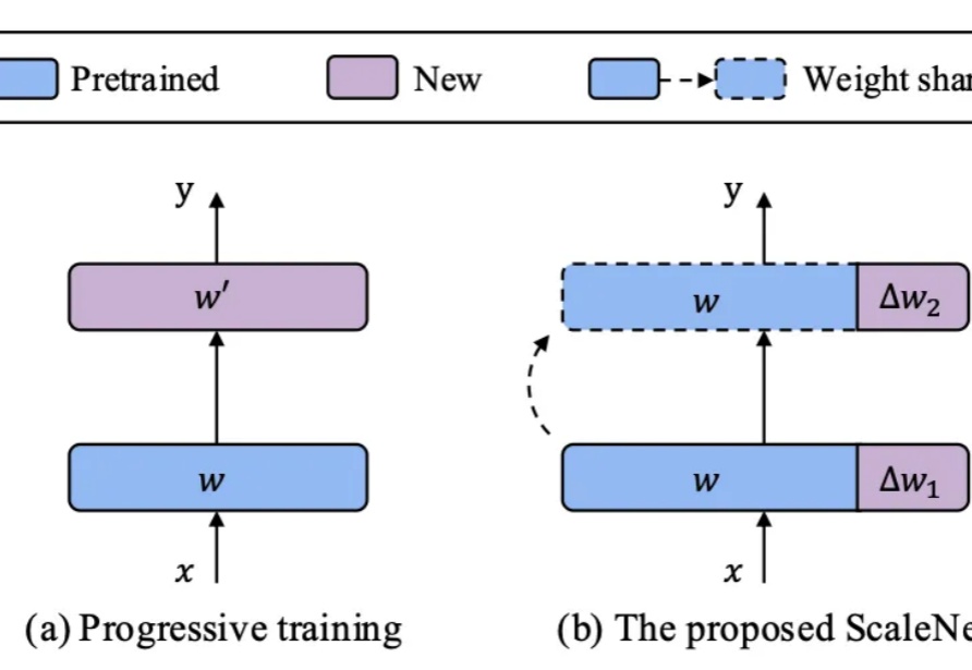 华为诺亚发布ScaleNet：模型放大通用新范式