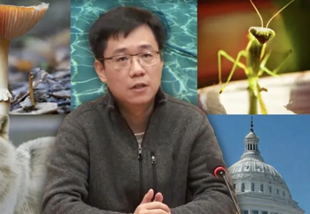 永别了，Tokenizer！何恺明师徒新作，颠覆AI生图技术