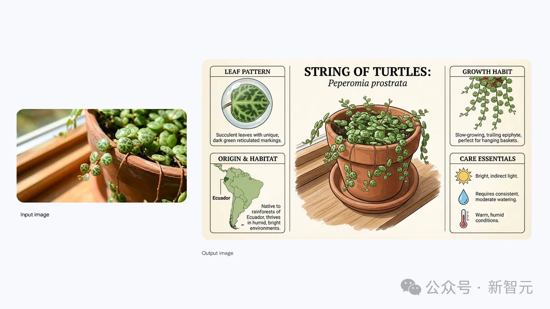 谷歌Nano Banana Pro炸了！硅谷AI半壁江山同框，网友：PS已死