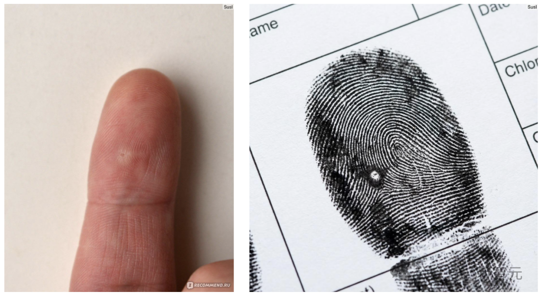 谷歌Nano Banana Pro炸了！硅谷AI半壁江山同框，网友：PS已死