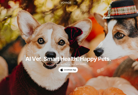 【独家】养宠人的「贾维斯」来了：这个 24 小时在线的 AI 兽医，把 Personal Agent 做成了我们想要的样子