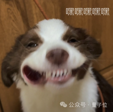 田渊栋卡帕西力荐Nano Banana新玩法:论文变漫画、手写解题以假乱真,谷歌这波赢麻了