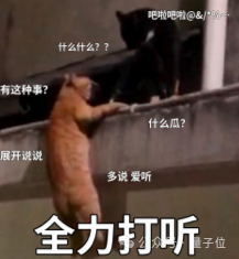 奥特曼承认谷歌威胁到OpenAI!即将推出新模型“Shallotpeat”