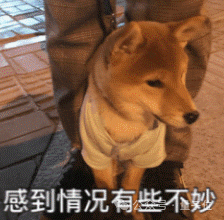 奥特曼承认谷歌威胁到OpenAI!即将推出新模型“Shallotpeat”