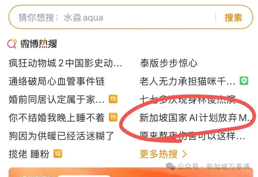 中国AI在新加坡杀疯了！取代美国Meta技术，阿里成国家级战略合作伙伴～
