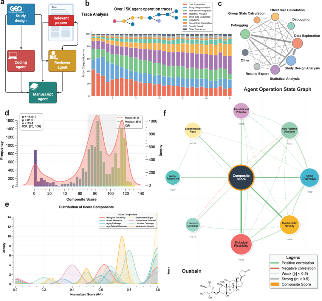 AI帮人类发现长寿药！95后科学家开发抗衰大模型，揭示数千种可逆转生物年龄的干预措施