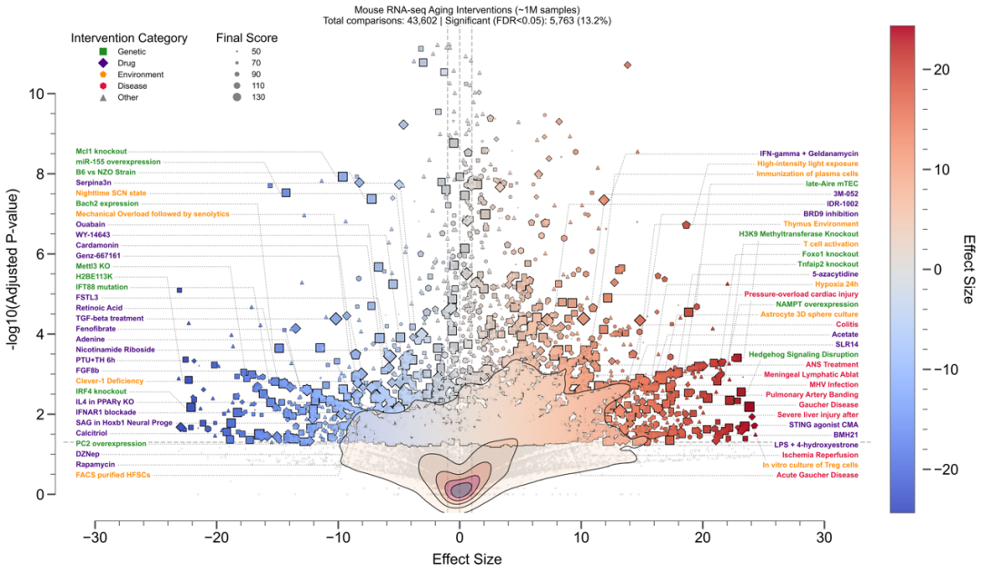 AI帮人类发现长寿药！95后科学家开发抗衰大模型，揭示数千种可逆转生物年龄的干预措施