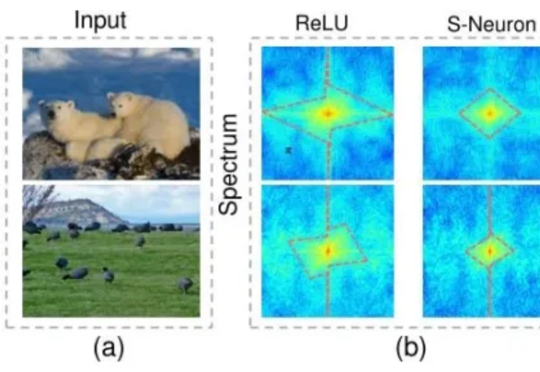 突破类脑模型性能瓶颈：校正频率偏置实现性能与能效双突破｜NeurIPS 2025