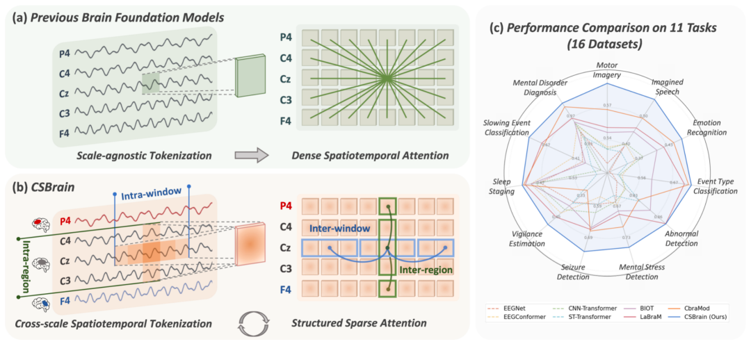 通用脑机接口时代要来了？跨尺度脑基础模型CSBrain真正读懂脑信号