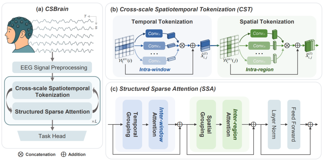 通用脑机接口时代要来了？跨尺度脑基础模型CSBrain真正读懂脑信号