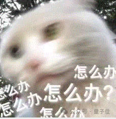 视频大模型新基元:用Object Tokens重塑细节感知与指代理解