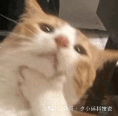 实测用 Claude Code 写小说，意外发现了组队开挂模式