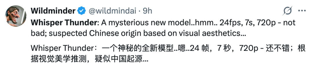 刚刚，神秘模型登顶视频生成榜，又是个中国模型？