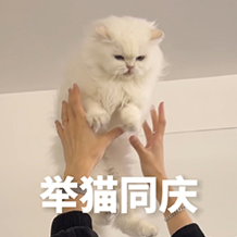 美团新独立APP，点不了菜只能点AI