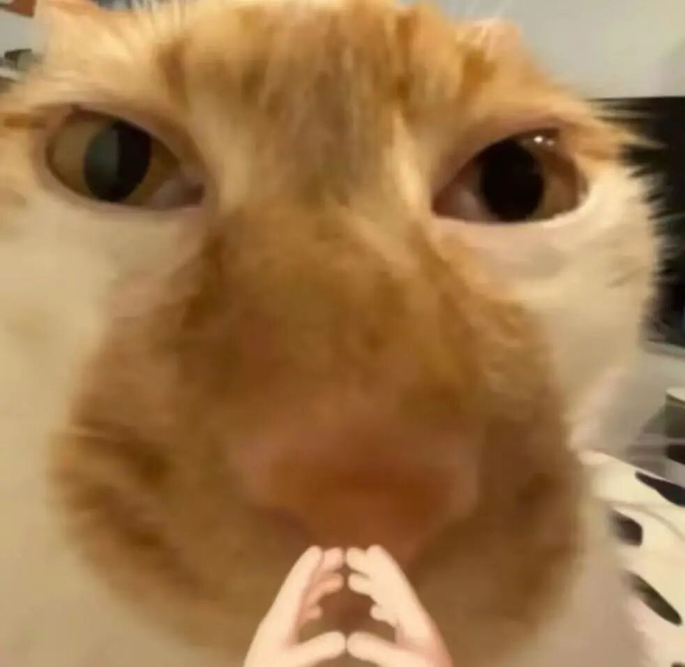 全新创作平台SkyReels来了！一张画布+一个对话框包办AI视频创作全流程