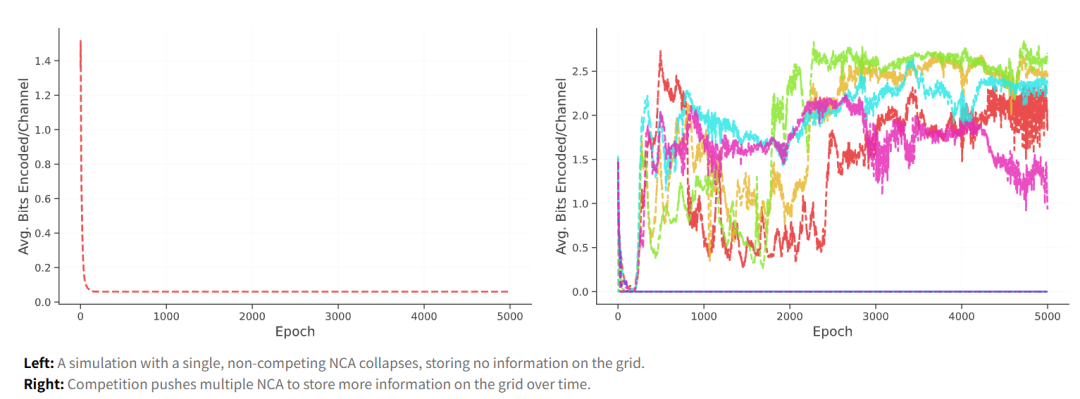 数字生命「培养皿」里,AI竟然学会了打架、结盟、抢地盘