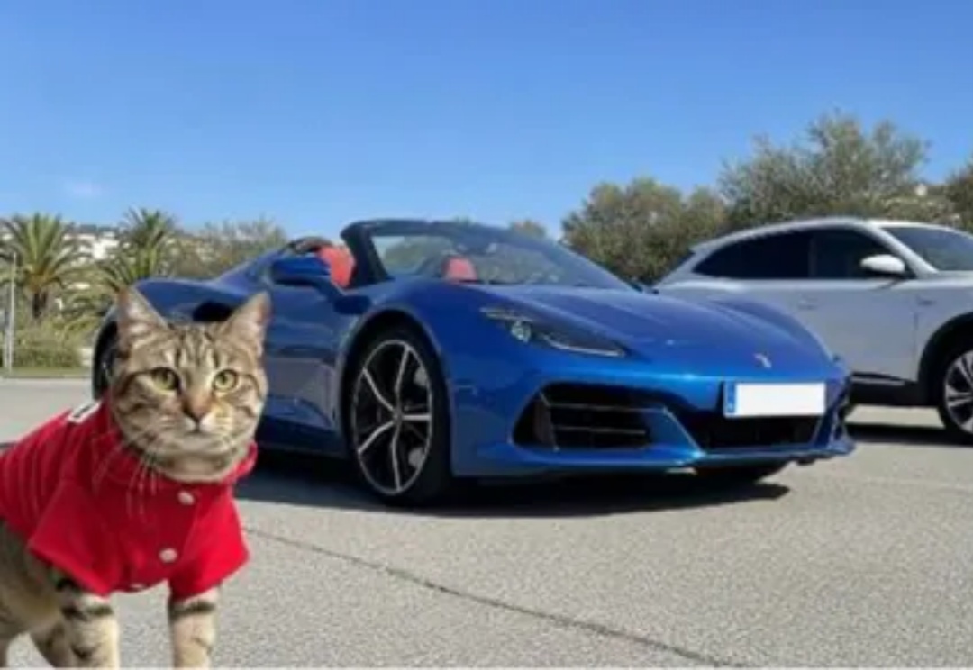 中英双语、29项第一、像素级理解：360 FG-CLIP2登顶全球最强图文跨模态模型