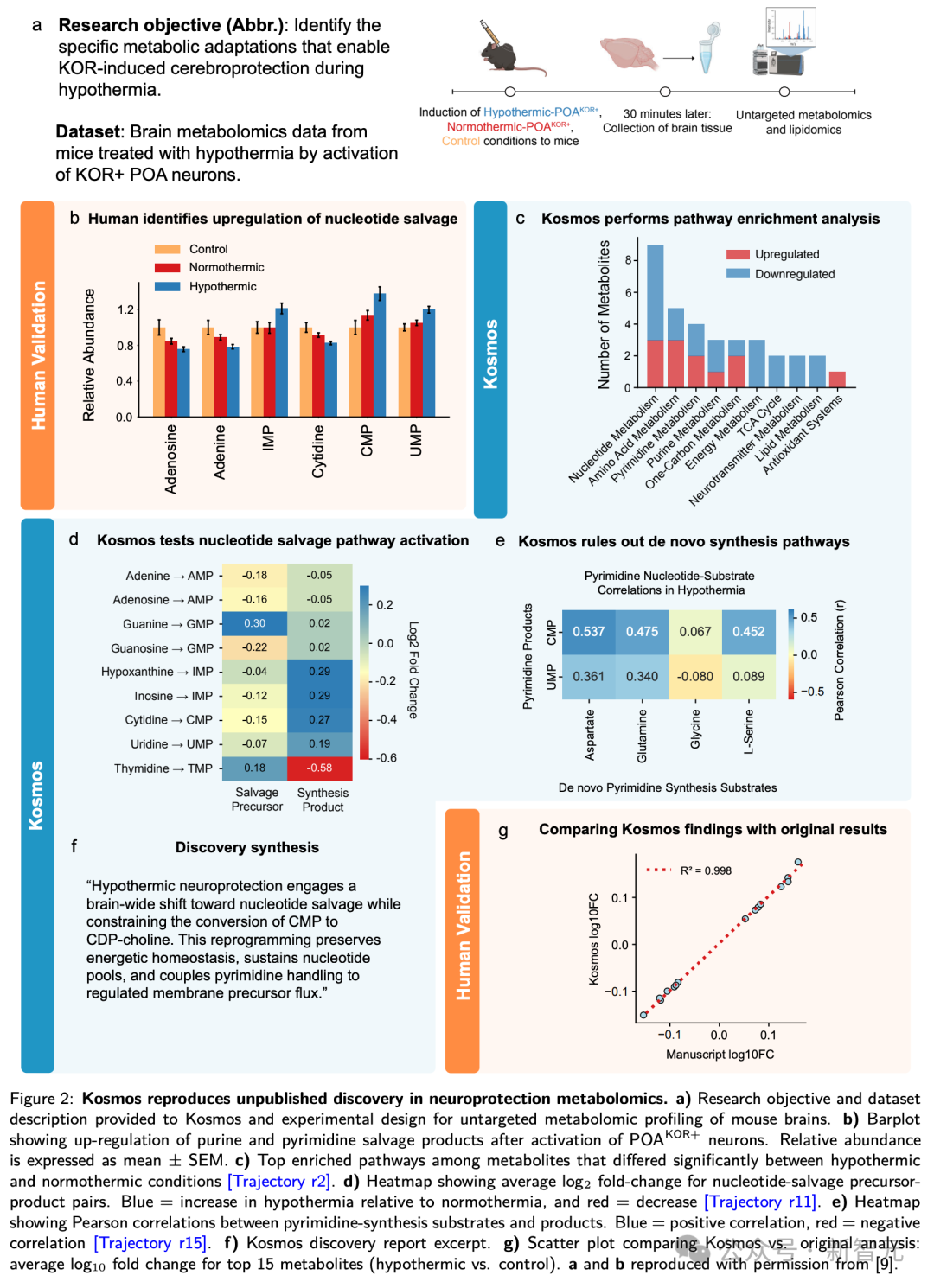 AI科学家登场!12小时抵人类科学家半年工作量,已有7项大成果