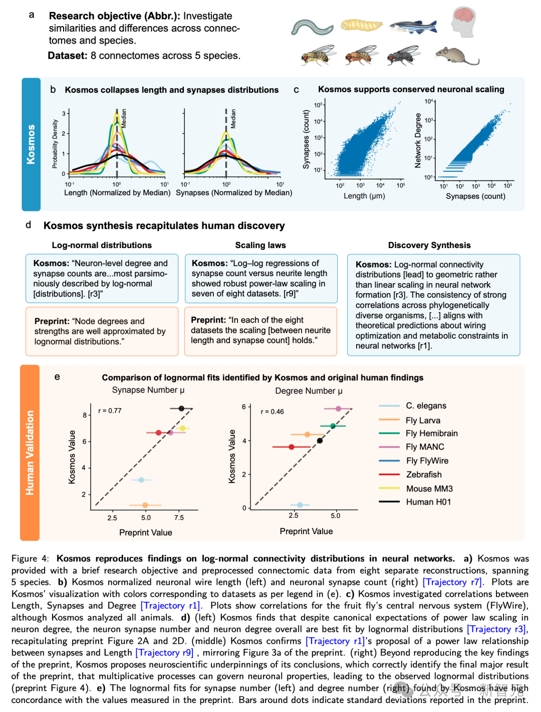 AI科学家登场!12小时抵人类科学家半年工作量,已有7项大成果