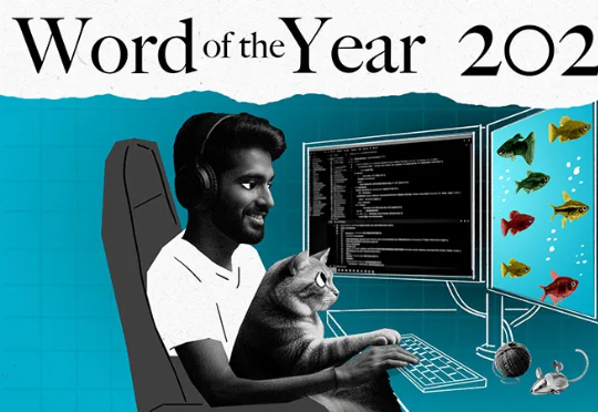 第一波 2025 年度词汇出炉，一半毫无悬念，一半完全懵