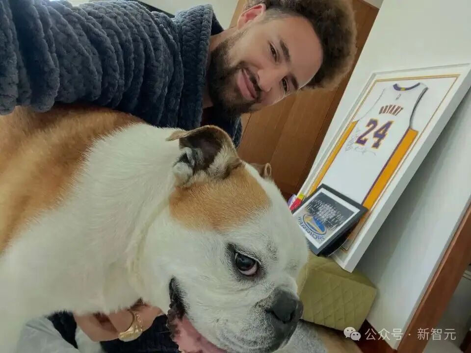 狗也被AI抢饭碗?好莱坞动物演员全下岗,观众直接翻脸了!