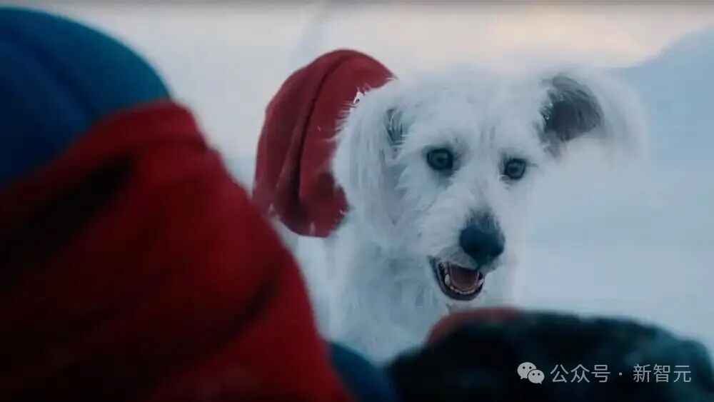 狗也被AI抢饭碗?好莱坞动物演员全下岗,观众直接翻脸了!