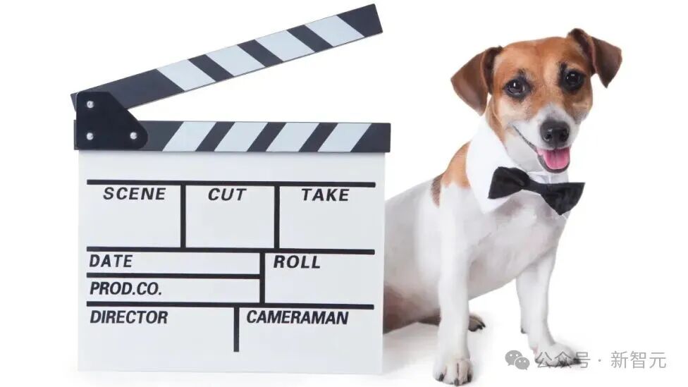 狗也被AI抢饭碗?好莱坞动物演员全下岗,观众直接翻脸了!
