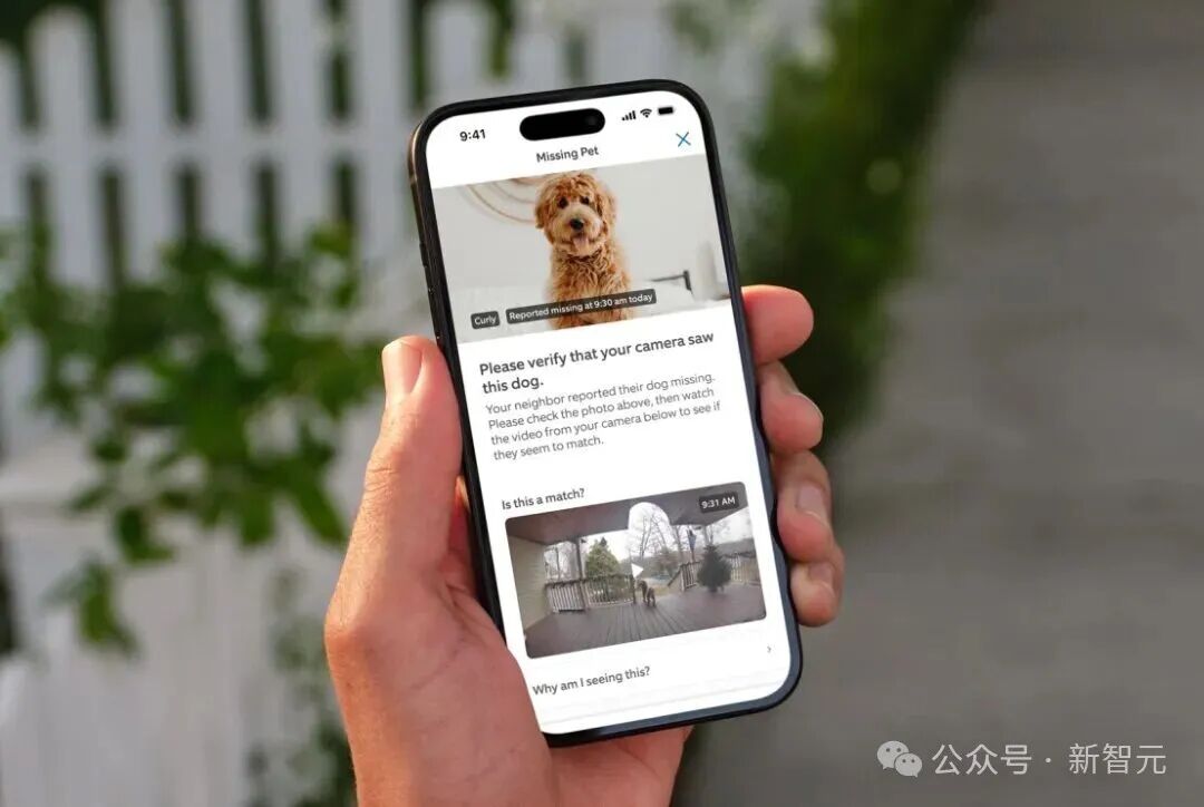 谷歌Gemini闹乌龙：我家狗子，竟被AI开除了「狗籍」！
