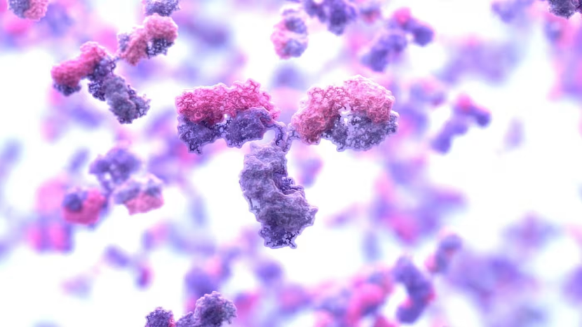 AI快速生成全新抗体设计图，可精确打击病毒要害，大卫·贝克最新研究或改变传染病应对模式