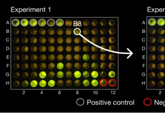 现实爽文！Meta裁掉的AI蛋白质团队，被扎克伯格高价买回，目标消灭所有疾病！