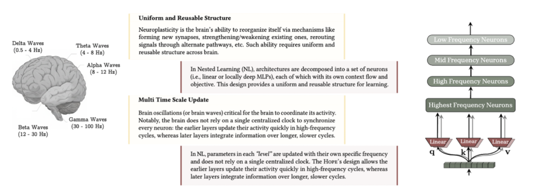 突破LLM遗忘瓶颈,谷歌「嵌套学习」让AI像人脑一样持续进化